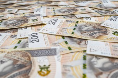Polonya 200 PLN banknotunun ön tarafından yapılmış arka plan, finans ve ekonomi için arka plan.