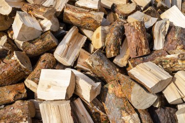 Yığının içinde bir odun yığını, güneşte yatıyor, yakın çekim, ahşap zemin.