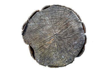 Yukarıdan görünen eski ağacın gövdesi, ağaç halkaları görünür, beyaz arka planda kırpma yolu ile izole edilmiş..