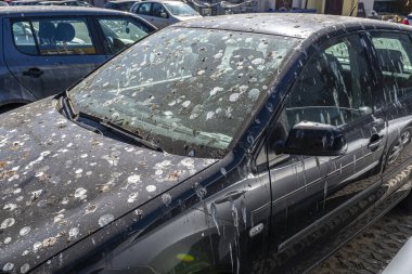 Siyah arabanın kaputunda ve ön camında bir sürü kuş pisliği var. Park yerinde terk edilmiş bir araba..