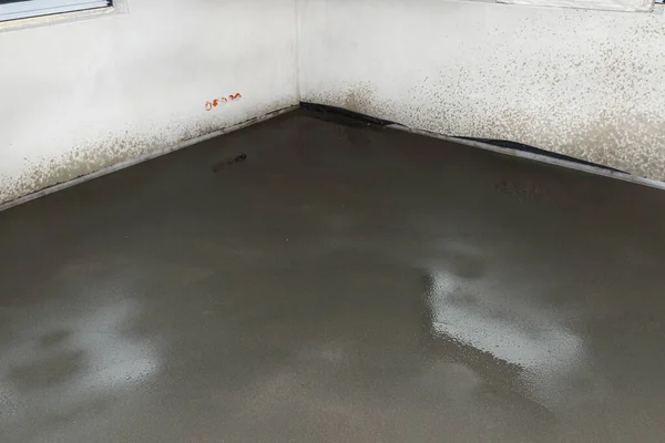 Watering a newly poured floor screed at home to prevent it from cracking.