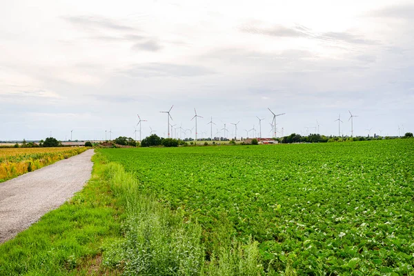 Turbinas Eólicas Para Producción Electricidad Partir Viento Campo Alemania Occidental — Foto de Stock