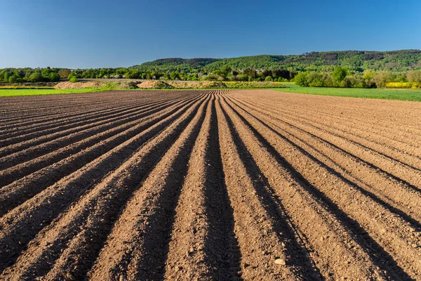 Καλλιεργημένο Χώμα Για Φύτευση Πατάτας Ορατό Ακόμη Και Σειρές Χώματος — Φωτογραφία Αρχείου