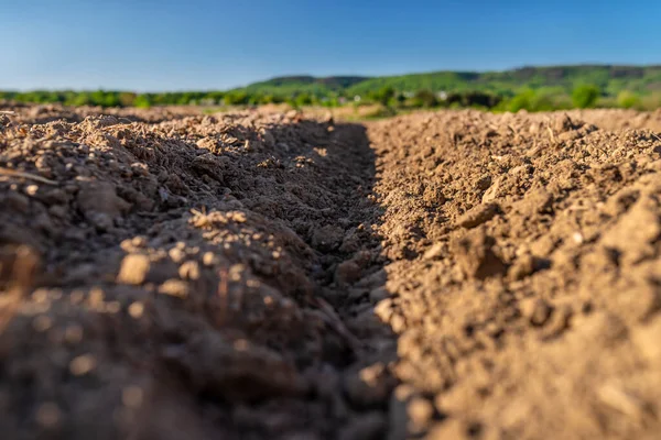 Gepflügter Boden Zum Pflanzen Von Kartoffeln Sichtbare Gleichmäßige Bodenreihen Und — Stockfoto