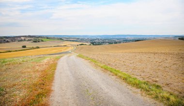 Buğday tarlasının ortasında kirli bir yol, geniş sakallı alanlar görünür..