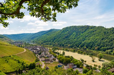 Batı Almanya 'da bahar mevsiminde güzel, olgunlaşan üzüm bağları, tepelerin arasından akan Moselle nehri. Nehrin üzerindeki demiryolu köprüsü görünüyor.. 