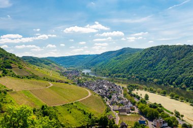 Batı Almanya 'da bahar mevsiminde güzel, olgunlaşan üzüm bağları, tepelerin arasından akan Moselle nehri. Mavi gökyüzünün ve beyaz bulutların arka planında.