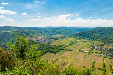 Bahar mevsiminde Batı Almanya 'da güzel, olgunlaşan üzüm bağları tepelerde ve bulutlu mavi gökyüzünde büyüyen görünür ormanlar..