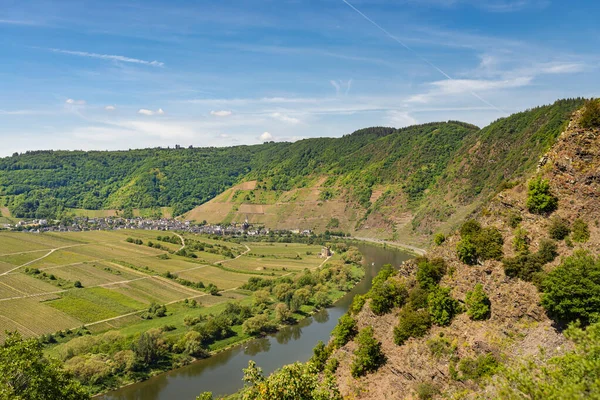Smukke Modne Vinmarker Forårssæsonen Det Vestlige Tyskland Moselle Floden Flyder - Stock-foto