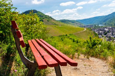 Şaraphanenin tepesinde duran kırmızı bir bank. Arka planda baharda güzel şaraphaneler..