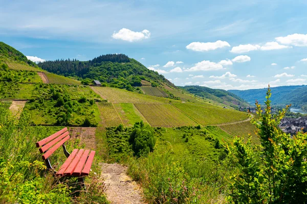 Red Bench Standing Hill Winery Background Beautiful Wineries Spring — Stock Photo, Image