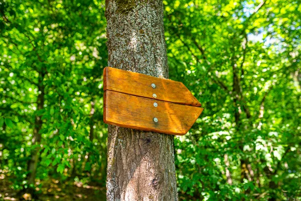 Empty Wooden Arrow Shaped Sign Pointing Right Bolted Tree Forest — Stock Photo, Image