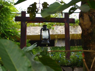 kır çiçeği-Güney Viet Nam