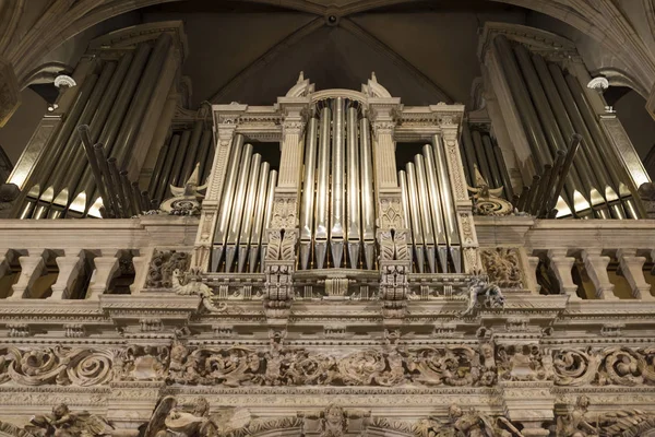 Notre-Dame Chatnedral. Organo — Foto Stock