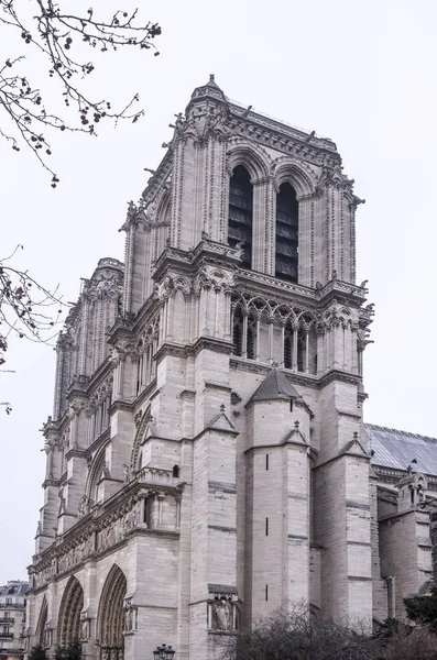 Bir kış günü Notre Dame Katedrali — Stok fotoğraf