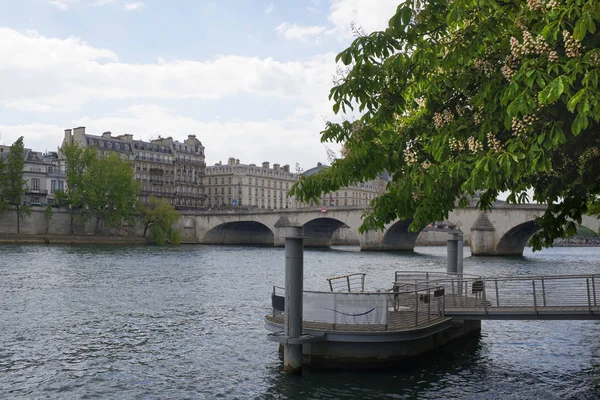 In Paris blühen Kastanien. Blick auf die königliche Brücke — Stockfoto