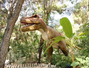  Tyrannosaurus rex Geç Kretase /150-65 milyon yıl önce. İçinde