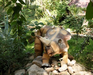 Monoclonius - Kretase /74 milyon yıl önce. Dinopark içinde