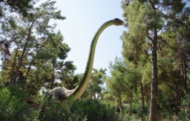  Brachiosaurus geç Jura dönem /156-145 milyon yıl önce. 