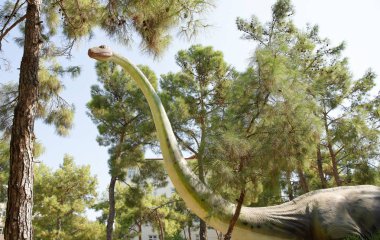  Brachiosaurus geç Jura dönem /156-145 milyon yıl önce. 