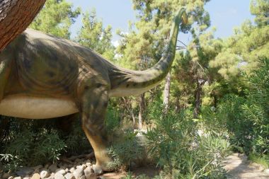   Brachiosaurus geç Jura dönem /156-145 milyon yıl önce.