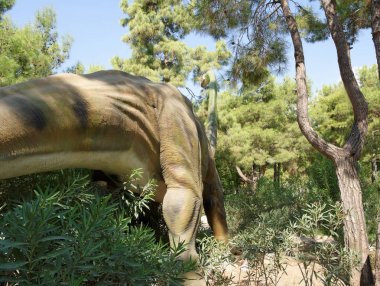  Brachiosaurus geç Jura dönem /156-145 milyon yıl önce. 