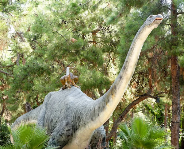  Apatosaurus-Jurassic dönem /140 milyon yıl önce. Dino