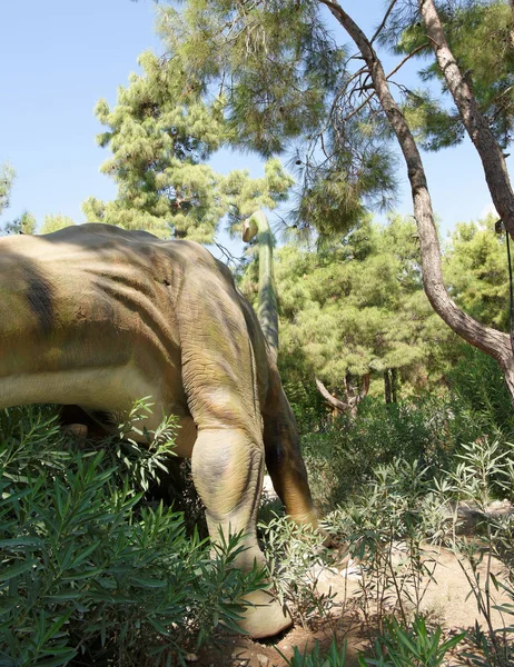  Brachiosaurus geç Jura dönem /156-145 milyon yıl önce. 
