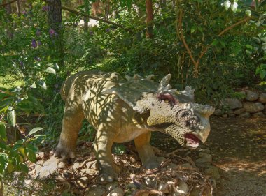  Monoclonius - Kretase /74 milyon yıl önce. Dinopark içinde