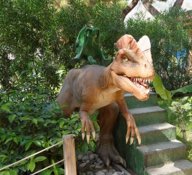 Kemer; Türkiye-Ağustos 14; 2017: bebeğim mekanik salıncak-dinozorlar. Ben