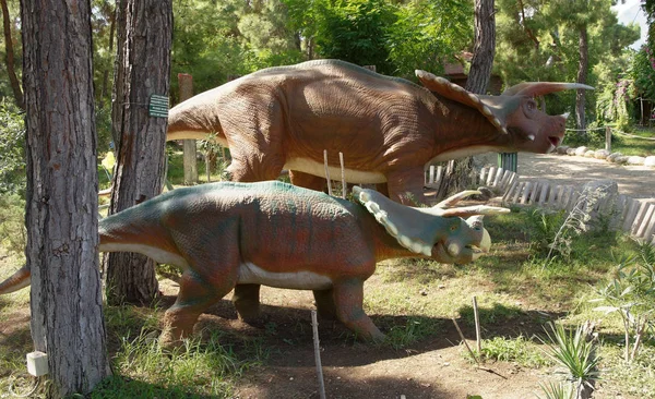 Tricératops Famille Crétacé tardif / 76-65 millions d'années. I — Photo