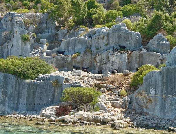 Кекова это остров, который под водой сохраняет руины — стоковое фото