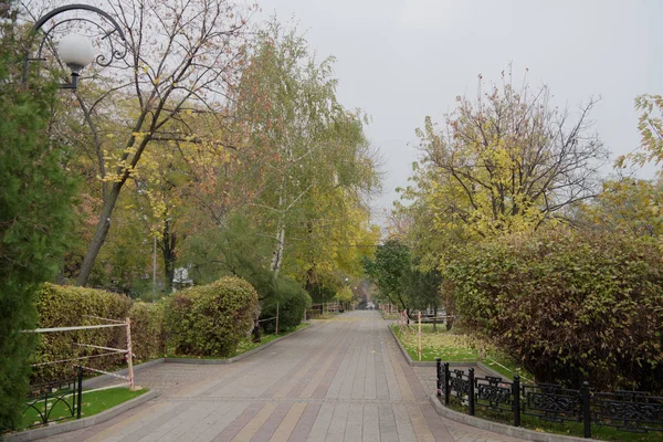 Calle Pushkinskaya en el día de otoño — Foto de Stock