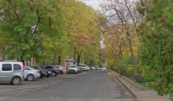 Пушкинская улица в осенний день. На улице стоят машины. — стоковое фото