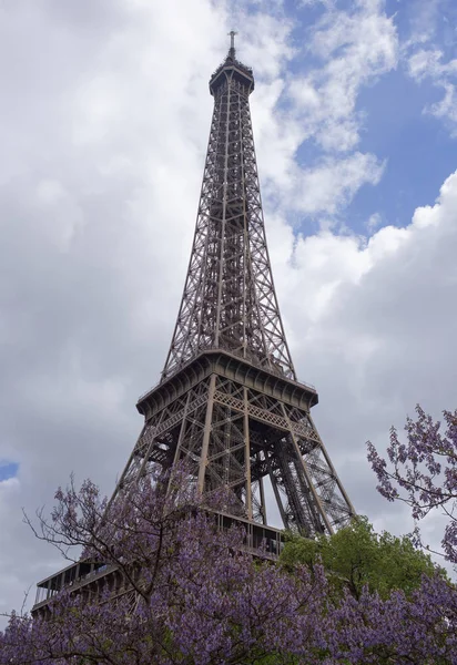 Widok na wieżę Eiffla, kwitnących drzew — Zdjęcie stockowe