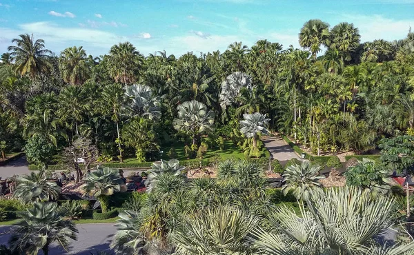 农巴热带植物园是一个500英亩的植物 ga — 图库照片