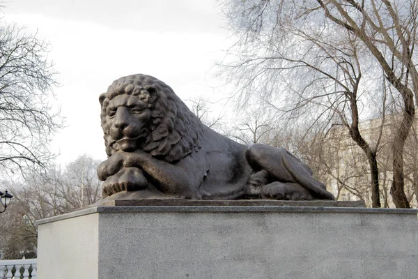 Fontána s lions na náměstí Sovětů — Stock fotografie