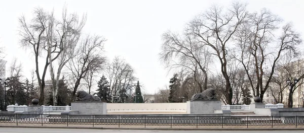 Fontana con leoni sulla piazza dei Soviet — Foto Stock