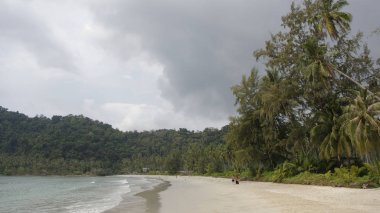 İnsanlar güneşlenmek ve coconut Island beach paradise adlı yüzmek