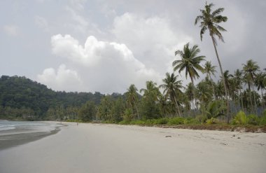  İnsanlar güneşlenmek ve coconut Island beach paradise adlı yüzmek