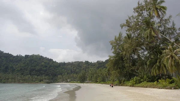 Люди загорают и плавают на пляже рай кокосового острова — стоковое фото
