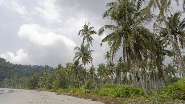 As pessoas tomam banho de sol e nadam no paraíso da praia da ilha de coco — Fotografia de Stock