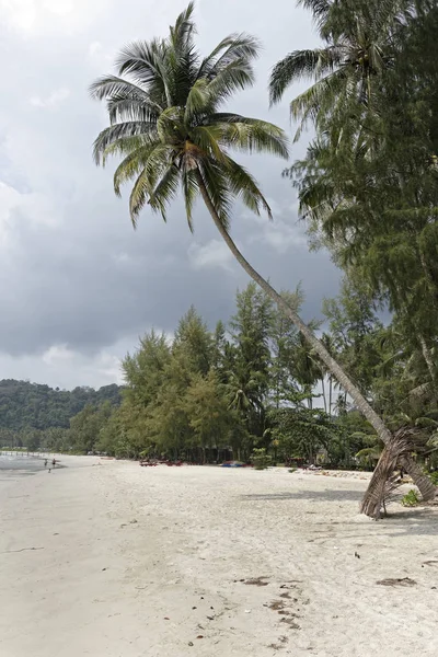 Pessoas tomar sol e nadar no paraíso praia de coco islã — Fotografia de Stock