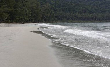  Hindistan cevizi avuç içi cennet coconut Island üzerinde