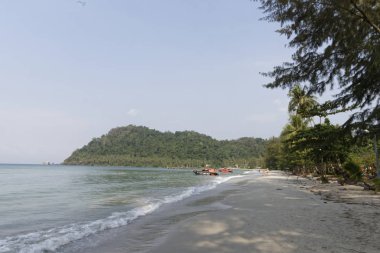 Hindistan cevizi avuç içi cennet coconut Island üzerinde