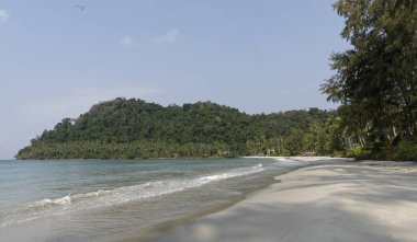 Hindistan cevizi avuç içi cennet coconut Island üzerinde