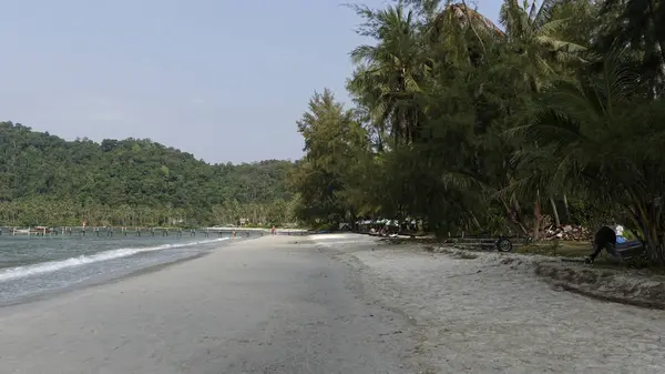 Kokospalmen op het paradijs Cocos eiland — Stockfoto