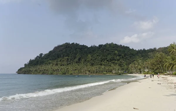 Coqueiros na ilha paradisíaca de coco — Fotografia de Stock