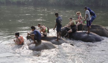  Filler Kwai Nehri üzerinde banyo turist