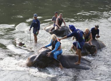 Filler Kwai Nehri üzerinde banyo turist